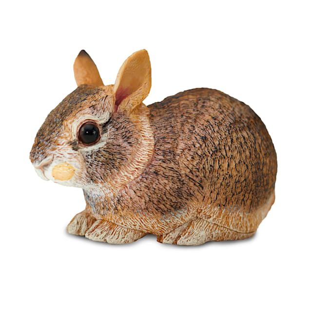 Safari Ltd Eastern Cottontail Rabbit Baby Toy Figure