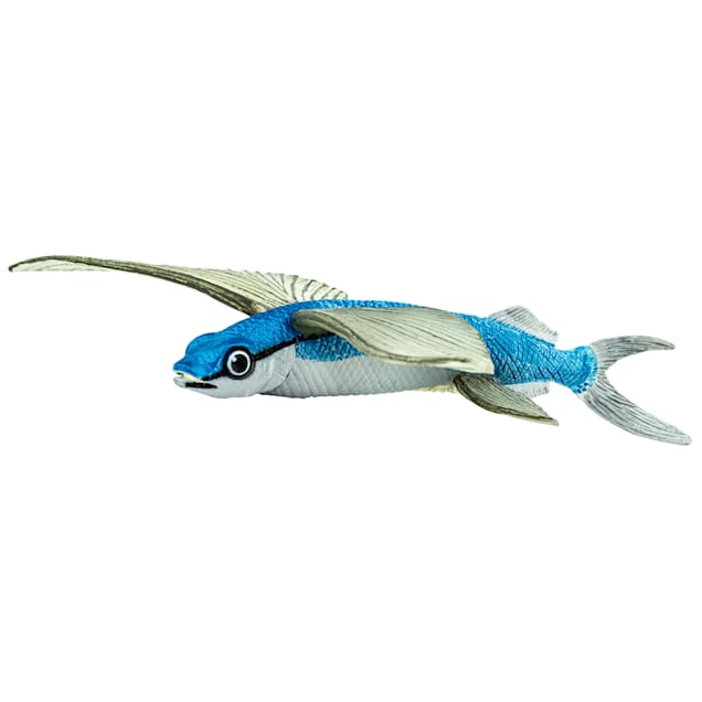 Flying Fish 4-pack