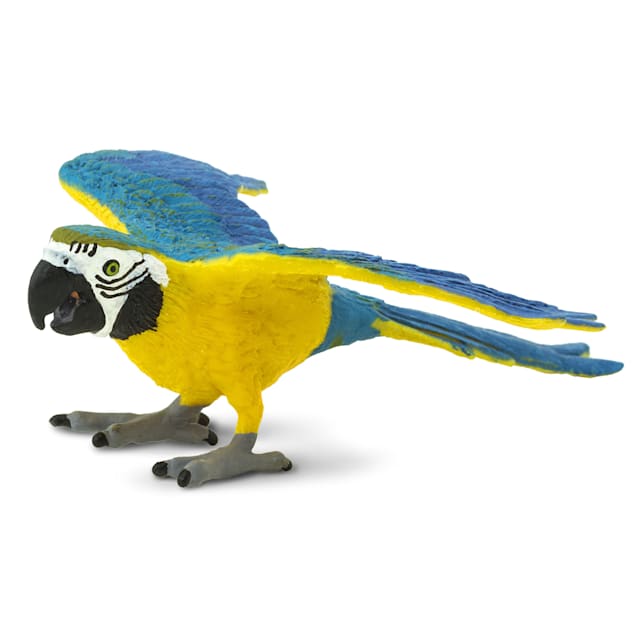 Safari Ltd Blue Gold Macaw Toy Figure Petco