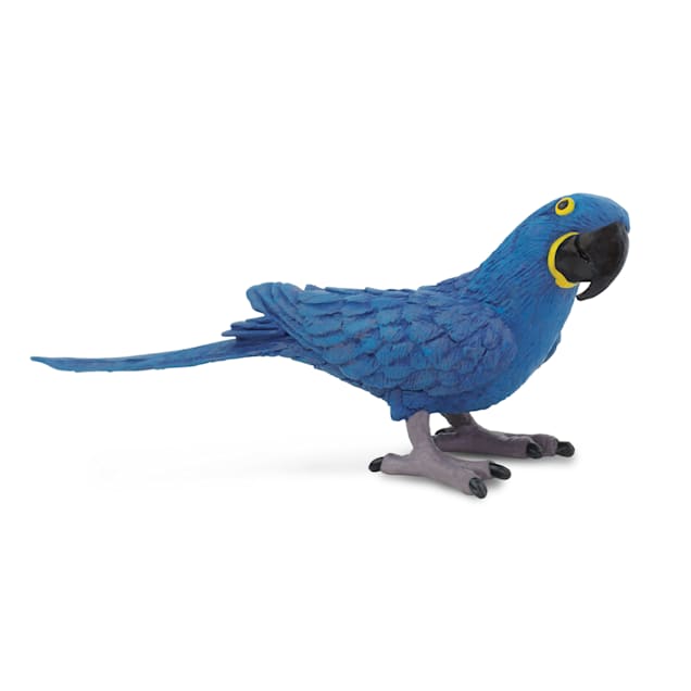 Petco macaw 2025
