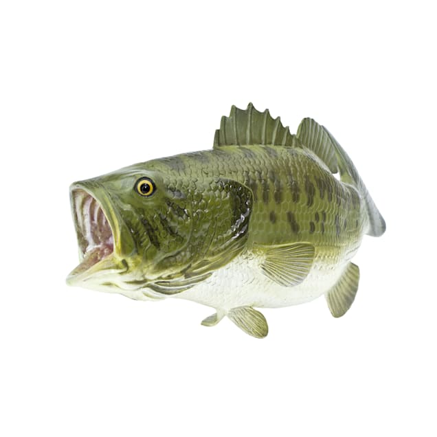 Largemouth bass stuffed animal best sale