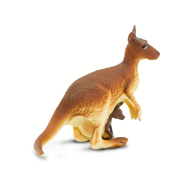 Kangaroo dog food petco hotsell