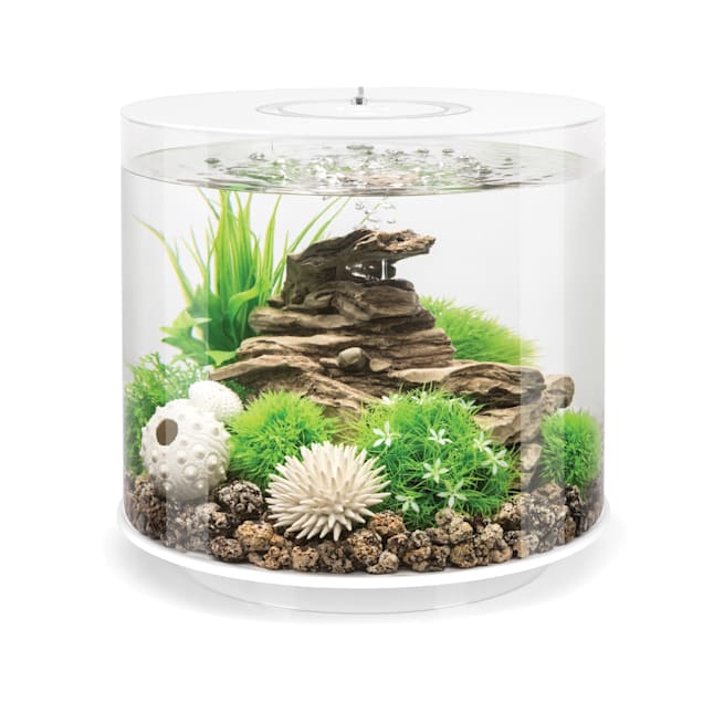 120 gallon cheap aquarium petco