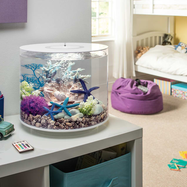 Tube aquarium sale