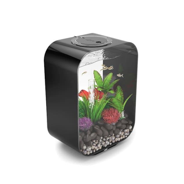 biOrb CLASSIC 15 Black Aquarium with Standard Light, 4 Gallon