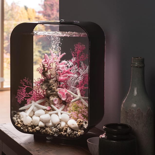 Life aquarium tank top