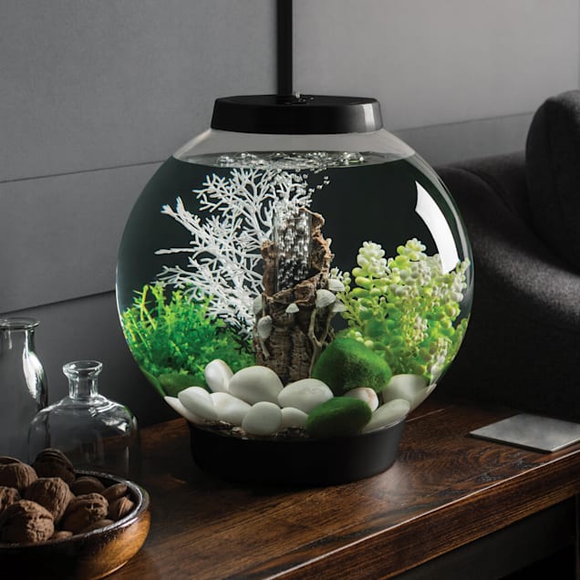 biOrb CLASSIC 15 Black Aquarium with Standard Light 4 Gallon Petco