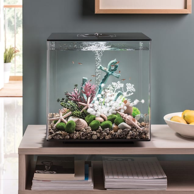 Petco 60 gallon tank best sale