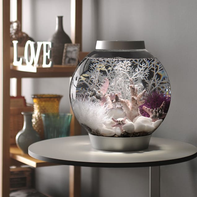 Biorb aquarium 2024