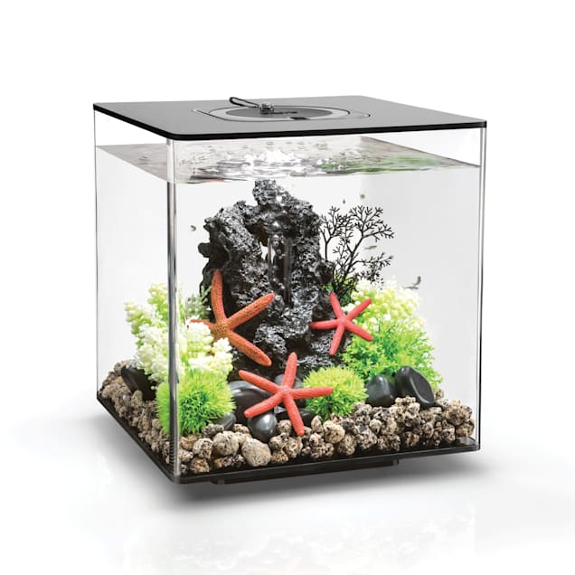 Glad tre miljøforkæmper biOrb CUBE 30 Black Aquarium with MCR Light, 8 Gallon | Petco