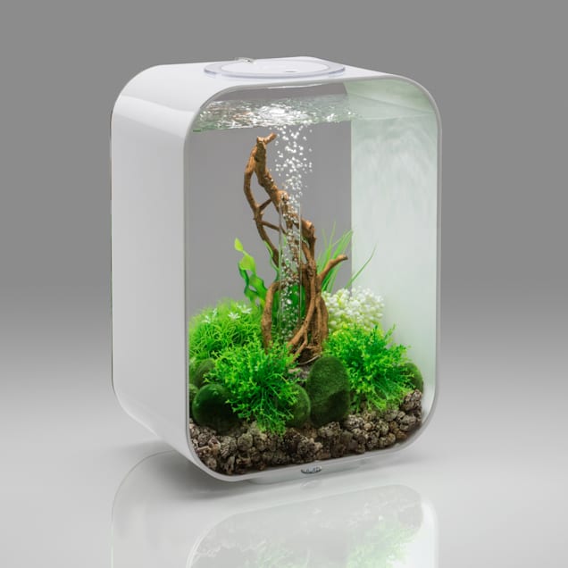 biOrb Life 15L バイオーブ ホワイト biOrb LIFE 15 White Aquarium with Standard Light, 4 Gallon | Petco