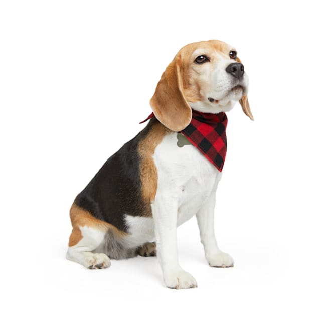 Old row dog bandana sales