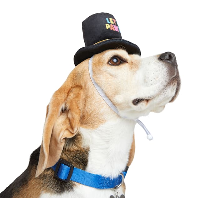 Dog hats sales petco