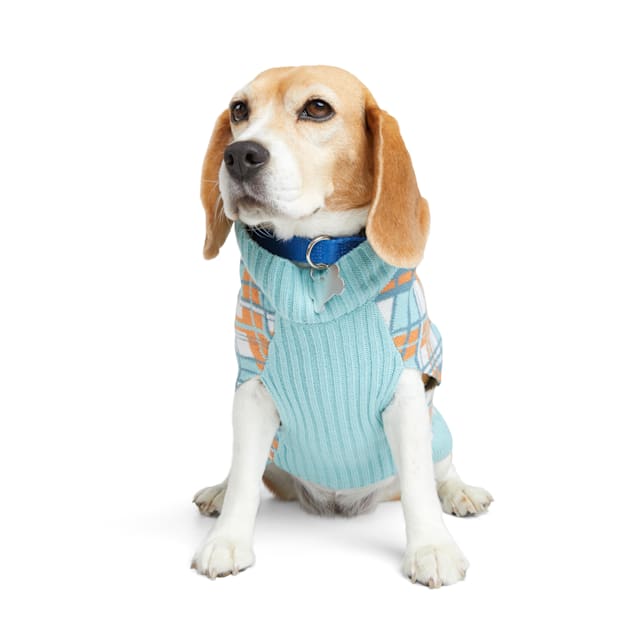 Petco cheap puppy clothes