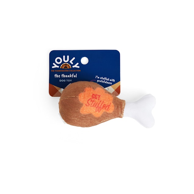 YOULY Thanksgiving Plush Turkey Leg Dog Toy X Small