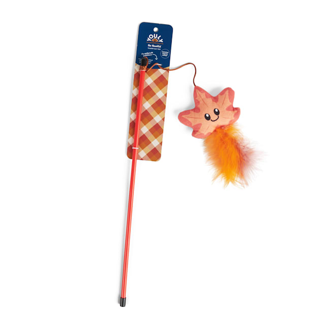 YOULY Cat Leaf Teaser Toy - Carousel image #1