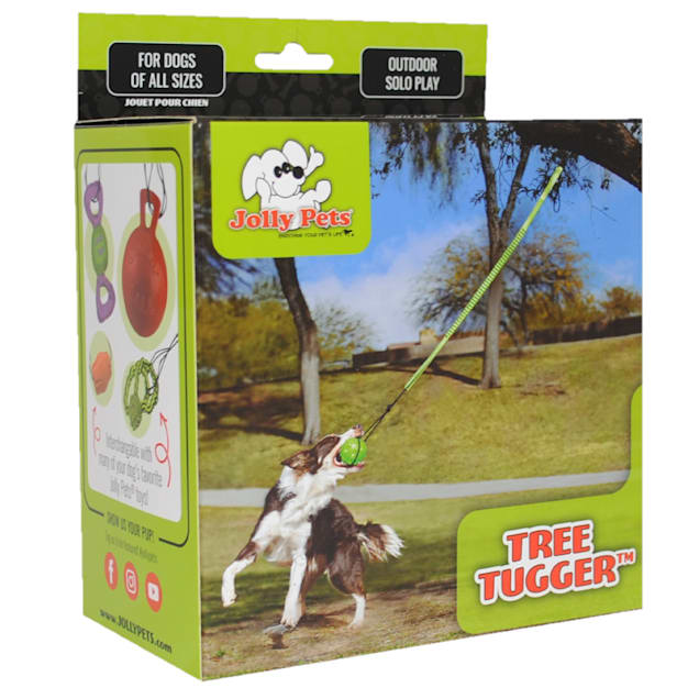 Tree leash for dogs online