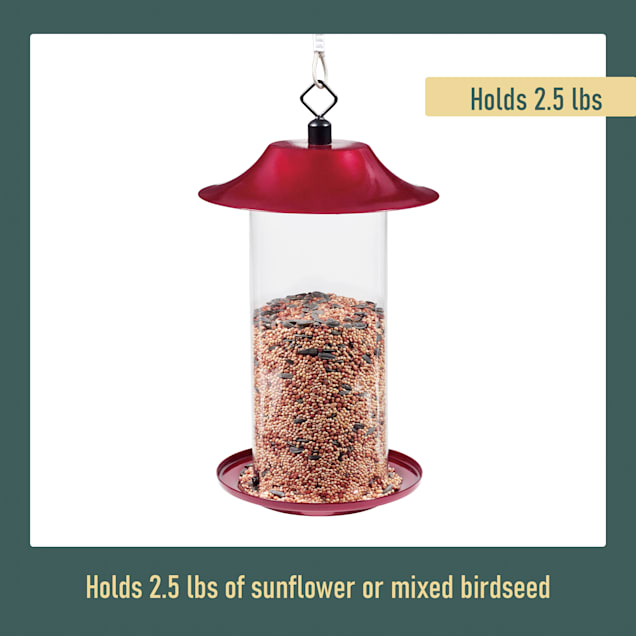 Petco top bird feeders