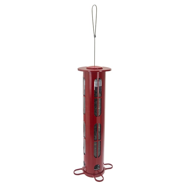 More Birds Squirrel X Squirrel X8 Resistant Bird Feeder 7