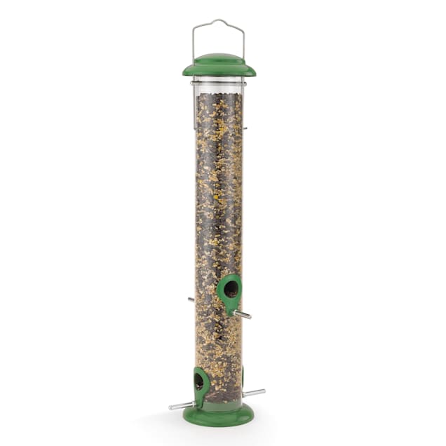 Petco wild bird feeders shop