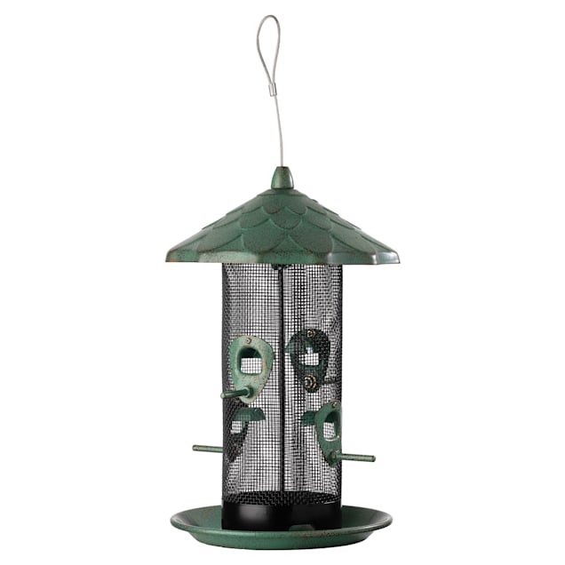 Petco wild bird clearance feeders