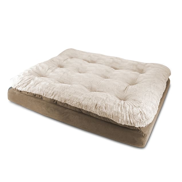 Canine creations dog bed deals
