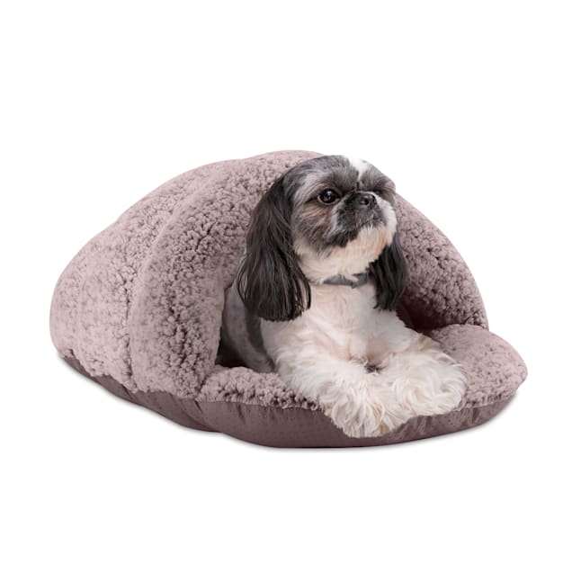 Petco pet beds store