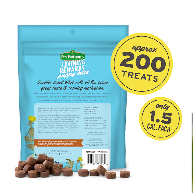 Chewies online training mini