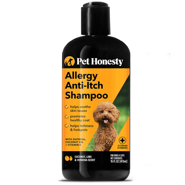 Shiny, Healthy Coat: Easy Diy Dog Coconut Oil Shampoo Guide  