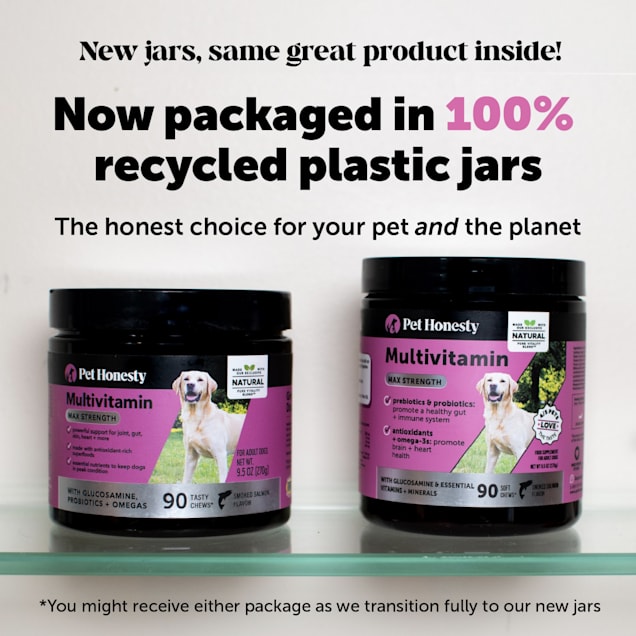 Pet Honesty Multivitamin Max Strength Salmon Flavor