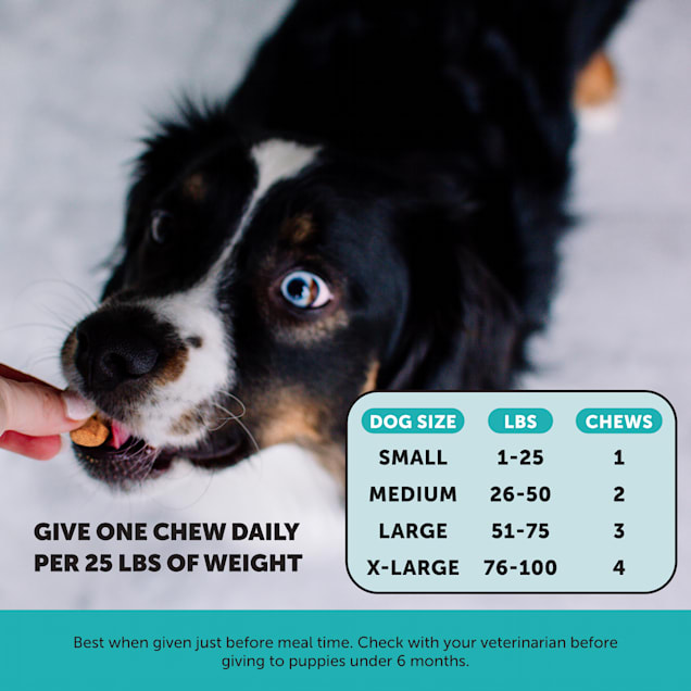 Pet Honesty Hemp Calming Soft Chews for Dogs Count of 90 Petco