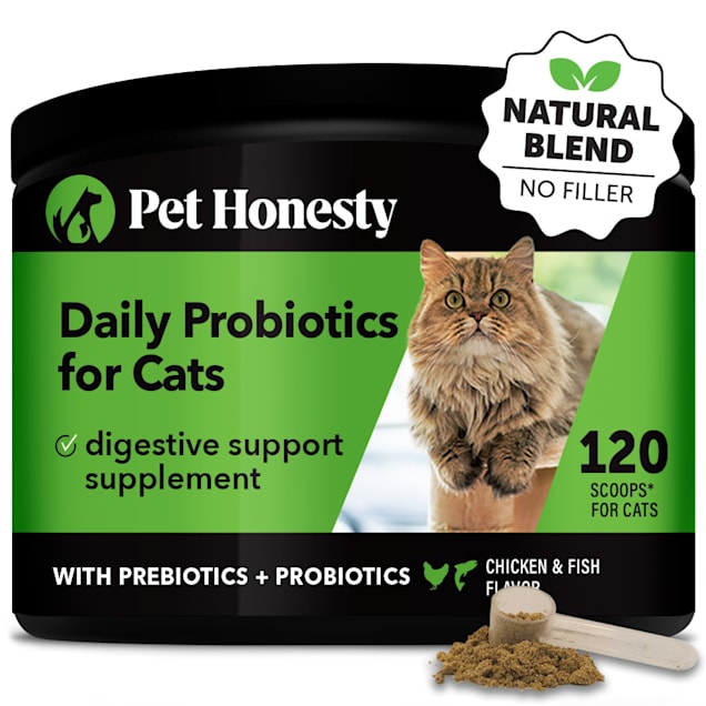 Pet Honesty Digestive Probiotics Powder Cat Supplement 4.2 oz. Count of 48