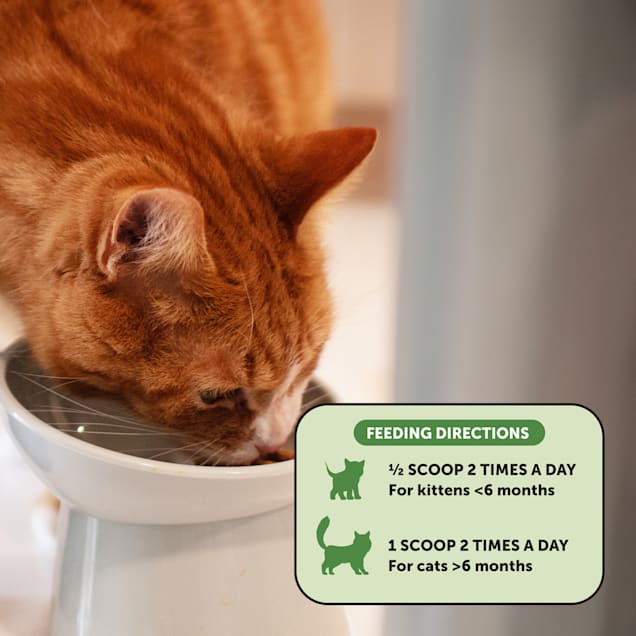 Pet Honesty Digestive Probiotics Powder Cat Supplement 4.2 oz