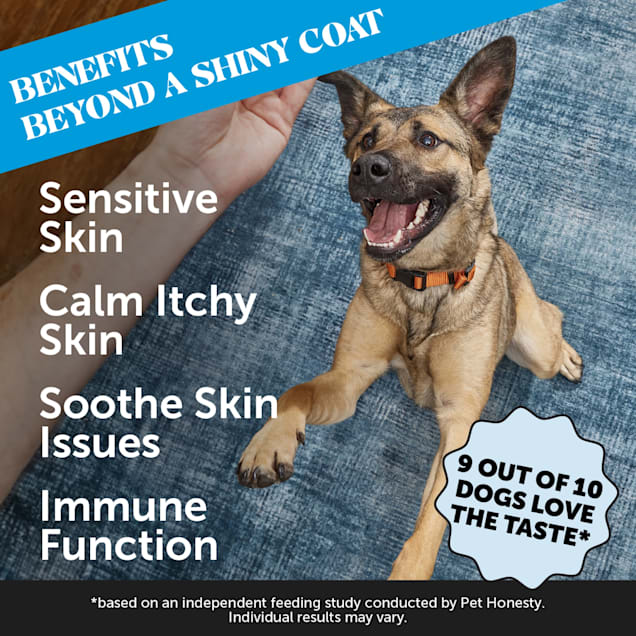 Skin so soft safe for dogs on sale
