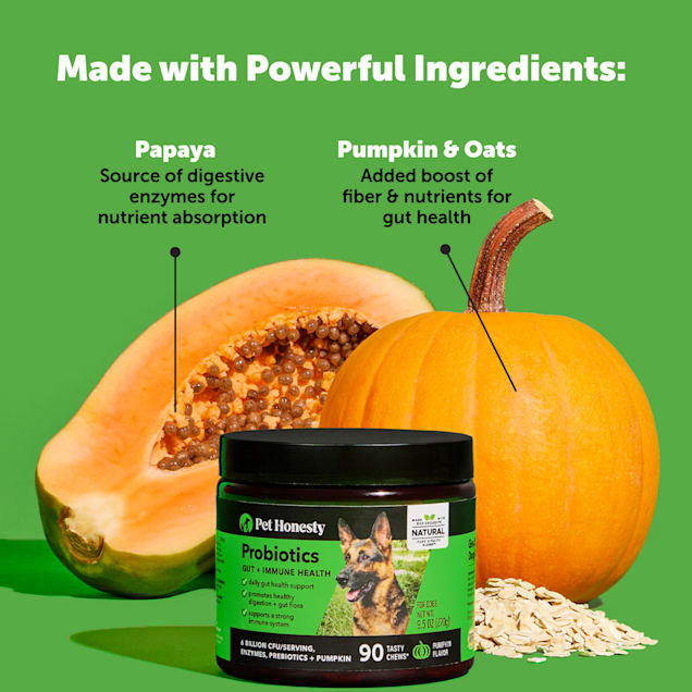 Pethonesty probiotics for dogs sale