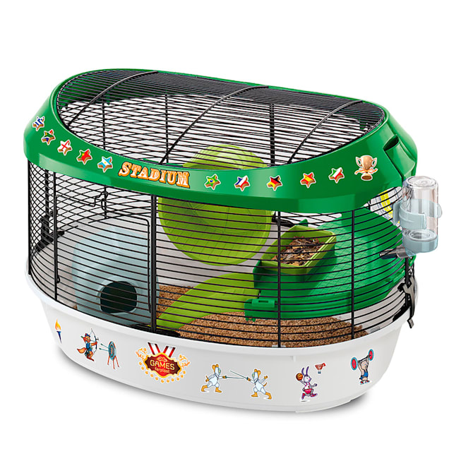 Hamsters petco discount