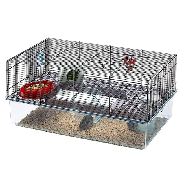 span verwijderen Overwinnen Ferplast Favola Hamster Cage, 11.5" H | Petco