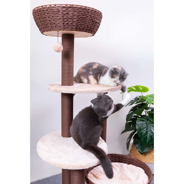 Petpals fawn level 5 scratcher discount
