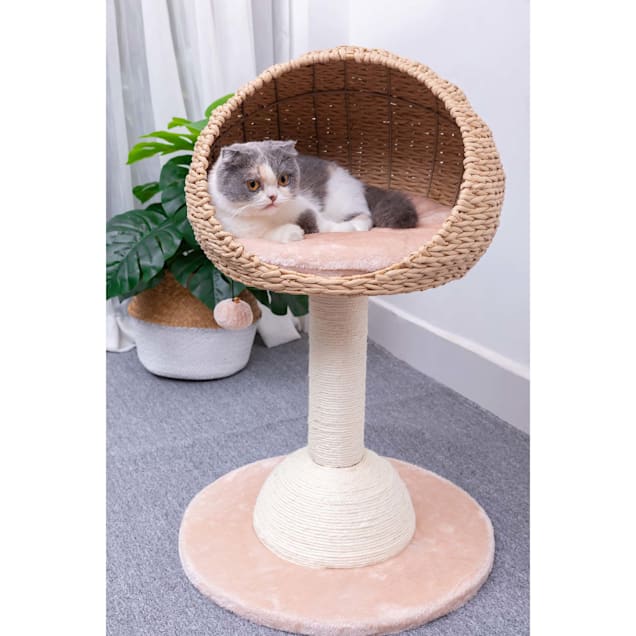 Pedestal cat bed hot sale