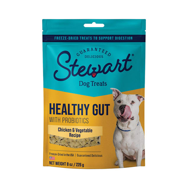 Stewart Healthy Gut Freeze Dried Chicken Vegetables Recipe Dog Treats 8 oz