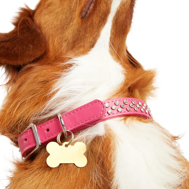 Extra large dog collars with bling cheap