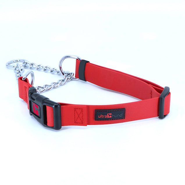 Martingale dog collar petco hotsell