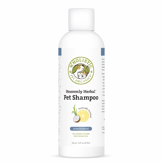 Antifungal dog shampoo petco hotsell