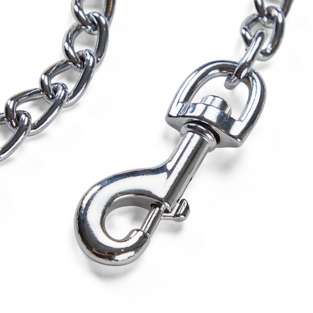 Petco chain on sale leash
