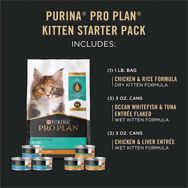 Pro plan kitten wet food online
