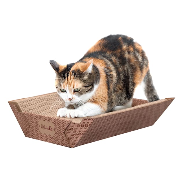 Petco cat scratcher cardboard hot sale