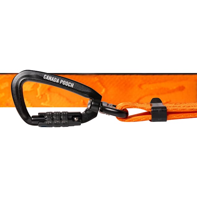 Dog leash holder new arrivals canada