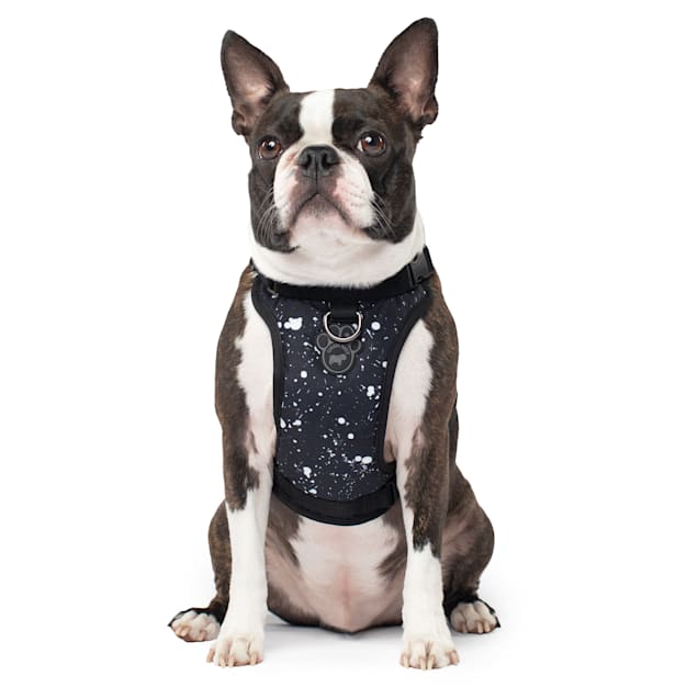 Vibrant life fashion harness for dogs hotsell