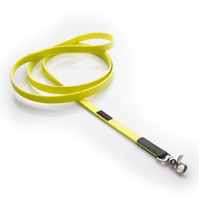 Yellow lead for dogs sales