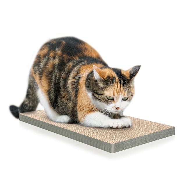Petco cat scratcher cardboard sale
